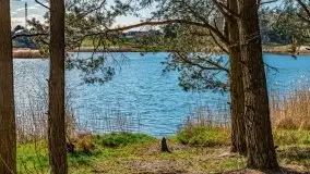 Piecki, ścieżka edukacyjna wokół stawu - zdjęcie 40