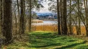 Piecki, ścieżka edukacyjna wokół stawu - zdjęcie 47