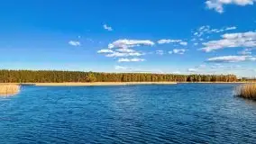 Piecki, ścieżka edukacyjna wokół stawu - zdjęcie 57