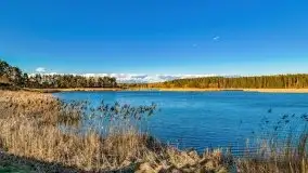 Piecki, ścieżka edukacyjna wokół stawu - zdjęcie 60