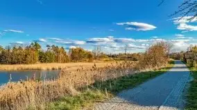 Piecki, ścieżka edukacyjna wokół stawu - zdjęcie 78