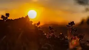 Zachód słońca nad jeziorem Wojnowo - zdjęcie 27