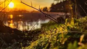 Zachód słońca nad jeziorem Wojnowo - zdjęcie 17