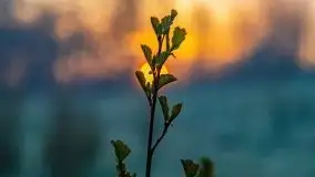 Majowy wschód słońca nad jeziorem Wojnowo - zdjęcie 40