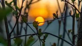 Majowy wschód słońca nad jeziorem Wojnowo - zdjęcie 52