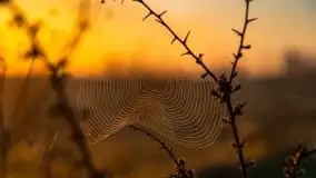 Majowy wschód słońca nad jeziorem Wojnowo - zdjęcie 4