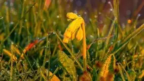 Majowy wschód słońca nad jeziorem Wojnowo - zdjęcie 22