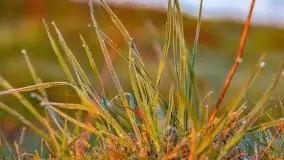 Majowy wschód słońca nad jeziorem Wojnowo - zdjęcie 46