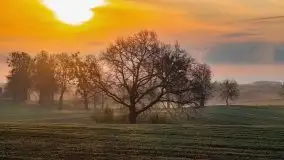 Majowy wschód słońca nad jeziorem Wojnowo - zdjęcie 31