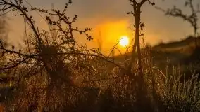 Majowy wschód słońca nad jeziorem Wojnowo - zdjęcie 49