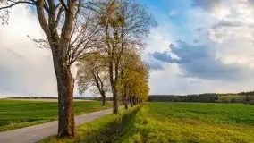 Majowy wieczór z mazurską przyrodą - zdjęcie 20