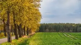 Majowy wieczór z mazurską przyrodą - zdjęcie 22