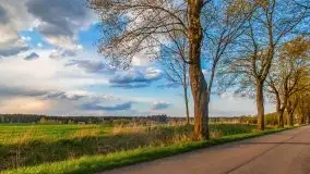 Majowy wieczór z mazurską przyrodą - zdjęcie 9