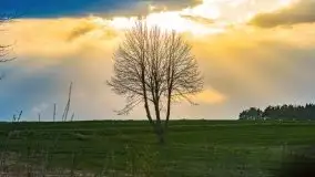 Majowy wieczór z mazurską przyrodą - zdjęcie 4