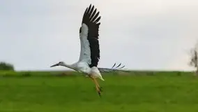 Majowy wieczór z mazurską przyrodą - zdjęcie 29