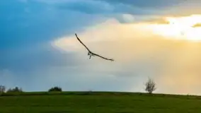 Majowy wieczór z mazurską przyrodą - zdjęcie 32