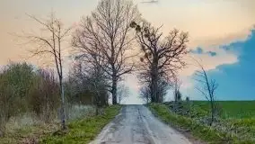 Majowy wieczór z mazurską przyrodą - zdjęcie 13