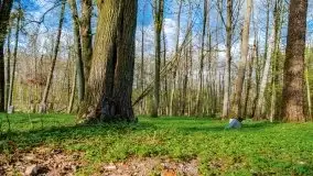 Wiosenne widoki z okolic Sztynortu, maj 2021 - zdjęcie 9