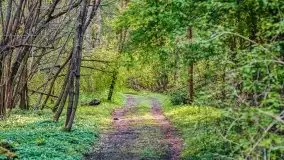 Wiosenne widoki z okolic Sztynortu, maj 2021 - zdjęcie 28