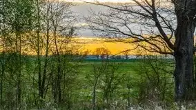 Wiosenne widoki z okolic Sztynortu, maj 2021 - zdjęcie 35