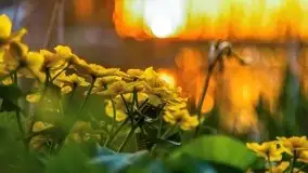 Majowy zachód słońca w porcie Trygort - zdjęcie 7