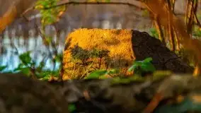 Zachód słońca nad jeziorem Święcajty, maj 2021 - zdjęcie 13