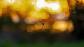 Zachód słońca nad jeziorem Święcajty, maj 2021 - zdjęcie 34