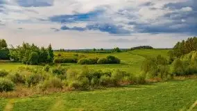 Wiosna na całego na i piękne okoliczności przyrody - zdjęcie 44