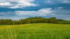 Wiosna na całego na i piękne okoliczności przyrody - zdjęcie 52