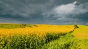 Wiosna na całego na i piękne okoliczności przyrody - zdjęcie 20