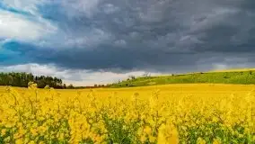 Wiosna na całego na i piękne okoliczności przyrody - zdjęcie 2