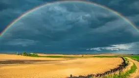 Wiosna na całego na i piękne okoliczności przyrody - zdjęcie 33