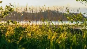 Zachód nad jeziorem Ryńskim, zatoka Mrówcza - zdjęcie 26