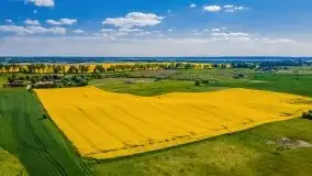 Mazurskie złote, piękne, rzepakowe pola - zdjęcie 28