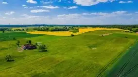 Mazurskie złote, piękne, rzepakowe pola - zdjęcie 40