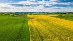 Mazurskie złote, piękne, rzepakowe pola - zdjęcie 48