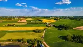 Mazurskie złote, piękne, rzepakowe pola - zdjęcie 11