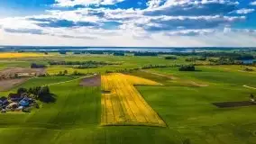 Mazurskie złote, piękne, rzepakowe pola - zdjęcie 57