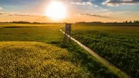 Mazurskie złote, piękne, rzepakowe pola - zdjęcie 44