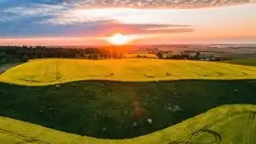 Mazurskie złote, piękne, rzepakowe pola - zdjęcie 39