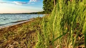 Zachód słońca nad jeziorem Dargin, Poganty - zdjęcie 15