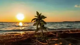 Zachód słońca nad jeziorem Dargin, Poganty - zdjęcie 14