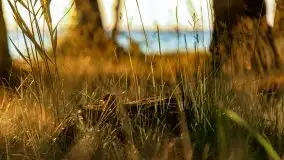 Zachód słońca nad jeziorem Dargin, Poganty - zdjęcie 25