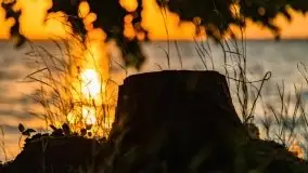 Zachód słońca nad jeziorem Dargin, Poganty - zdjęcie 20