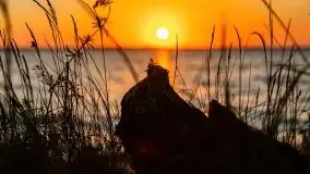 Zachód słońca nad jeziorem Dargin, Poganty - zdjęcie 30