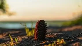 Zachód słońca nad jeziorem Dargin - zdjęcie 21