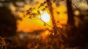 Zachód słońca nad jeziorem Dargin - zdjęcie 11