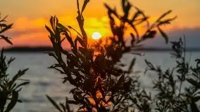 Zachód słońca nad jeziorem Dargin - zdjęcie 14