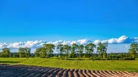 Podsumowanie wiosny 2021, zdjęcia z wielu miejsc - zdjęcie 106