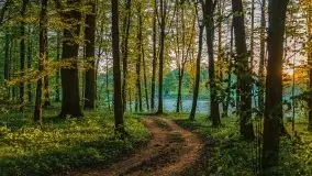 Podsumowanie wiosny 2021, zdjęcia z wielu miejsc - zdjęcie 95